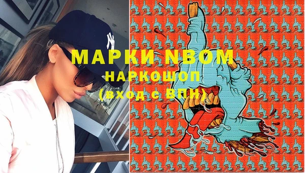 ГАЛЛЮЦИНОГЕННЫЕ ГРИБЫ Арсеньев