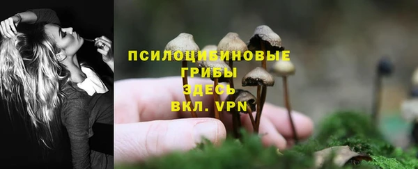 скорость Лагань